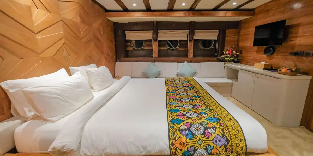 CABIN DOLPHIN - Image 1